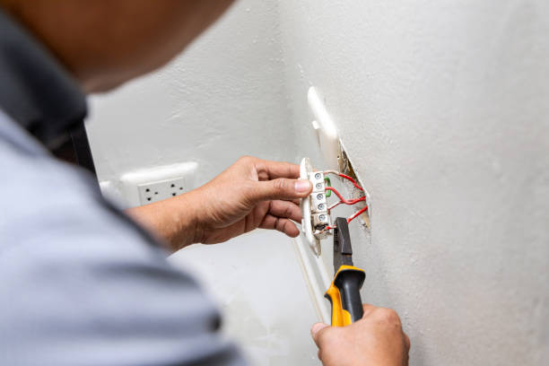 Best Electric Panel Repair  in Mission Bend, TX